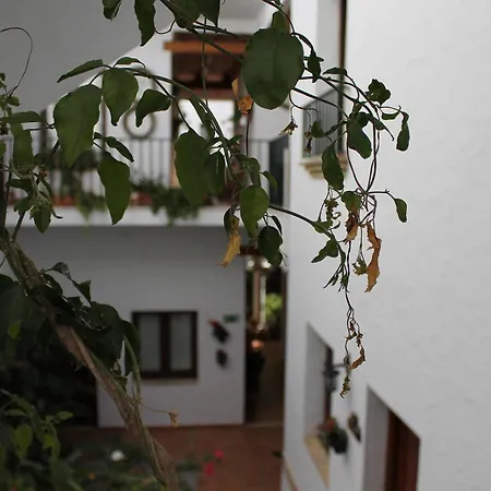 Almadraba Conil Коніль-де-ла-Фронтера