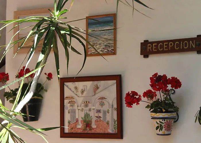 Hotell Almadraba Conil Conil De La Frontera