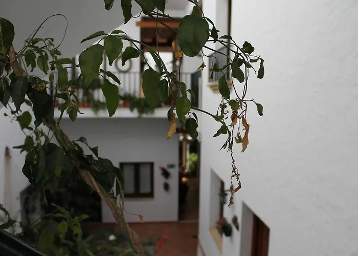 Almadraba Conil Кониль-де-ла-Фронтера