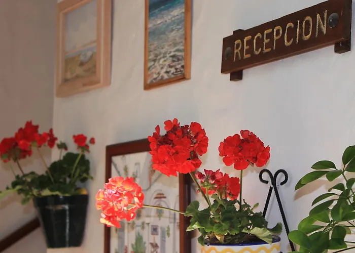 Hotell Almadraba Conil Conil De La Frontera