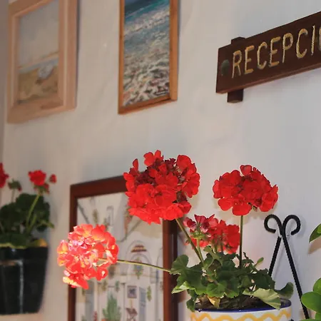 Ξενοδοχείο Almadraba Conil Conil De La Frontera