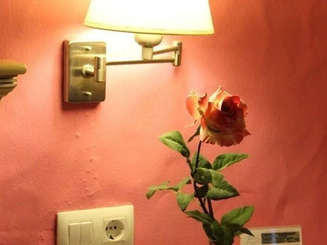 Almadraba Conil Conil De La Frontera